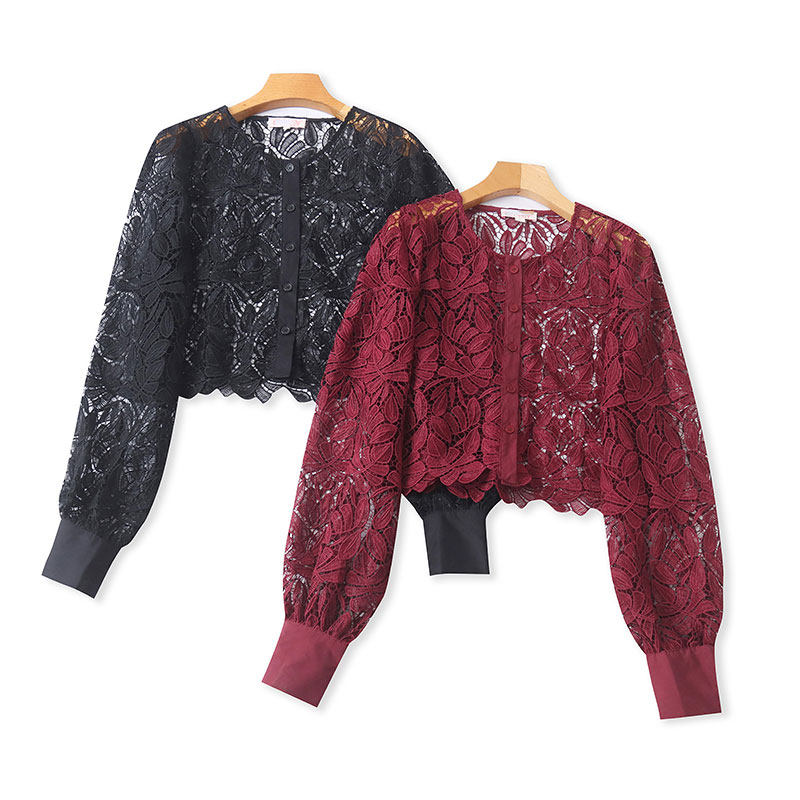 Spring and Autumn High-Waisted Crocheted Hollow-Out Embroidered Lace Shirt for Women, Elegant and Slimming, Unique Long-Sleeved Top 11390