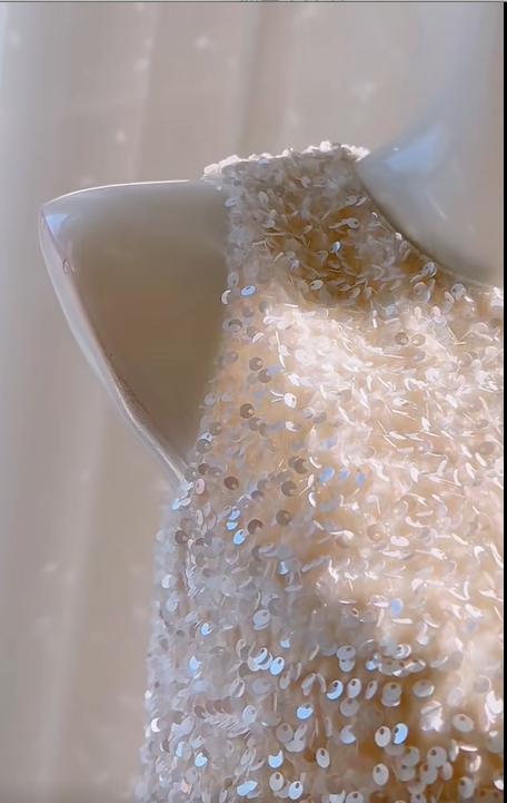 Girlhomeshops -White shiny sequined feather short homecoming dress birthday party dress Prom dress gh5103