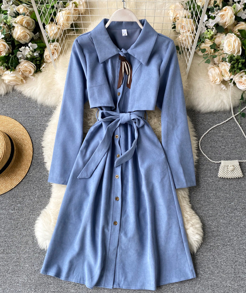 Cute A line long sleeve dress 1002