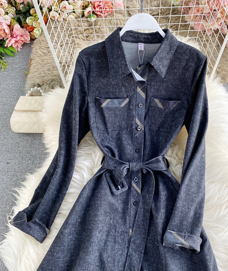 Dress A line long sleeve dress 981