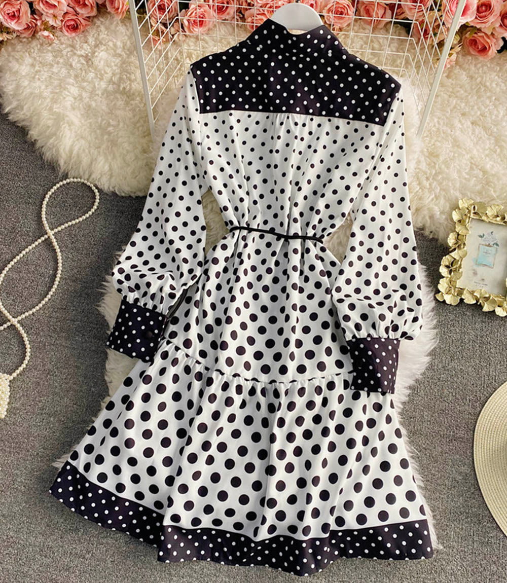 Stylish A line polka dot dress 843