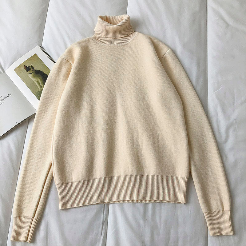 Korean warm pile high neck thin Pullover long sleeve top 5844