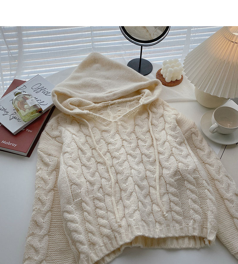 Niche design hooded Pullover long sleeve short knit top 5854