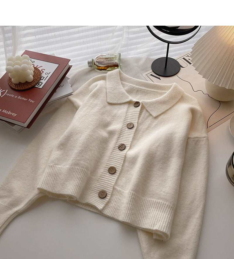 Korean lazy loose long sleeve versatile Lapel top 5879