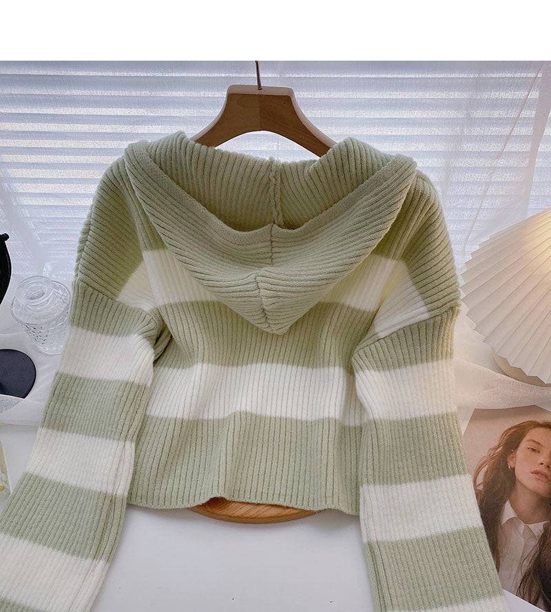 Casual Short striped sweater hooded Pullover Top 6461