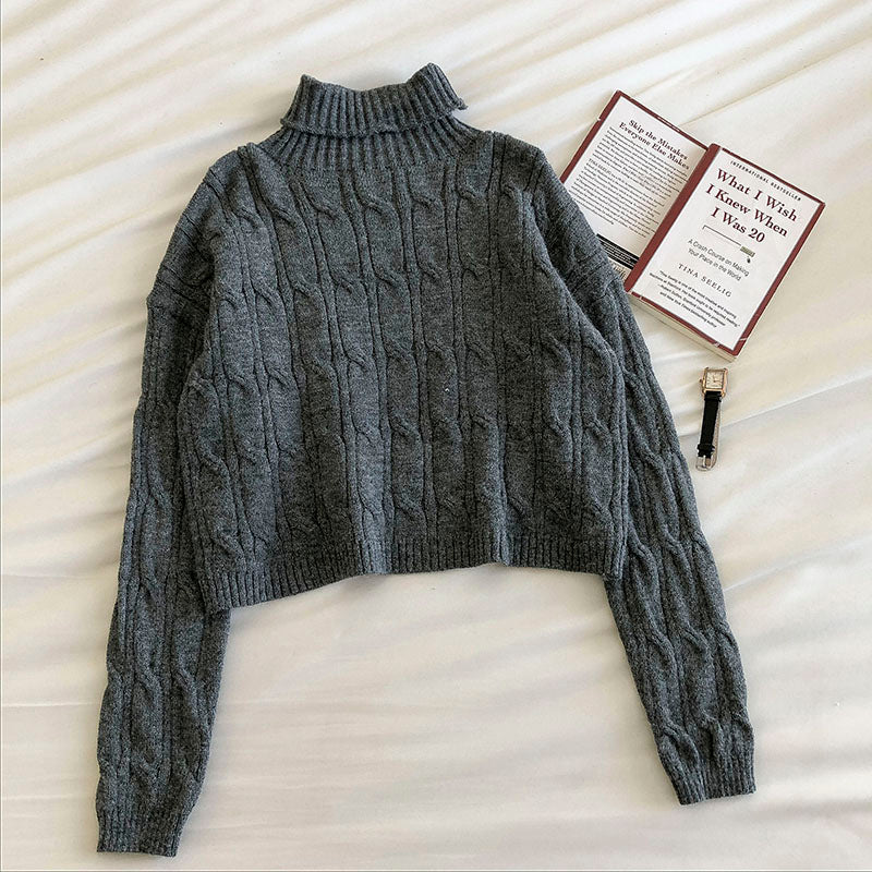 Trendy Hong Kong Style loose short long sleeve top 5841