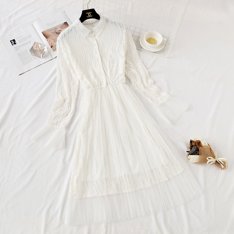 Lace mesh dress French super fairy knee length skirt 4365