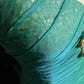 Green Gorgeous Shiny Elegant Long Tulle Mermaid Slim Fit Sequin Ball Gown Evening Gown Party Dress Prom Gown gh3848
