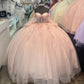 Pink Tulle Applique Beaded Long Sleeve Quinceaine Dress Prom Dress Graduation Dress Evening Dress Sweet 16 Years Old Dress gh3122