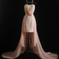 girlhomeshops-Light Pink Lace and Chiffon Sleeveless High-Low Train Evening Gown gh6306