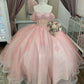 Pink Glitter Off-shoulder Crystal Applique Lace Tulle Sweet Long Ball Gown Evening Gown Adult Ceremony Dress graduation dress gh3133