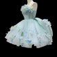 Floral Short Tulle Back-to-School Dress Birthday Dress Party Dress gh6850