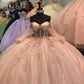Pink Tulle Applique Beaded Long Sleeve Quinceaine Dress Prom Dress Graduation Dress Evening Dress Sweet 16 Years Old Dress gh3122