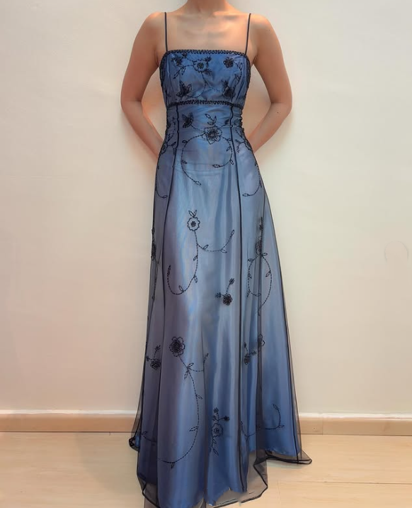 Blue Delicate Beaded Long Tulle Elegant Ball Gown Evening Dress Formal Birthday Party Dress Prom Dress gh3611