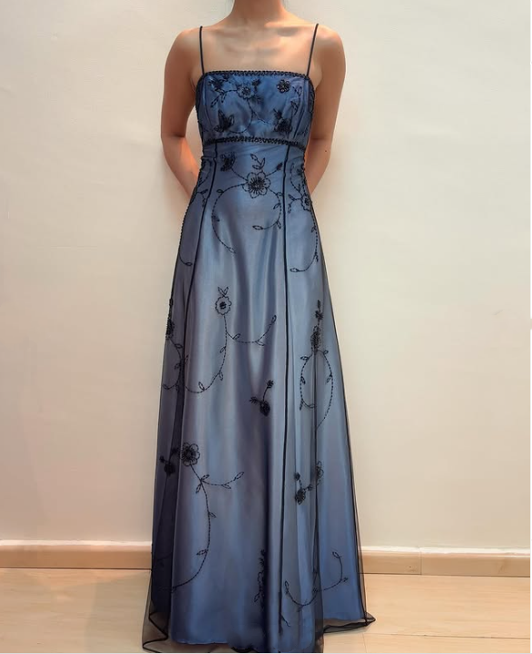 Blue Delicate Beaded Long Tulle Elegant Ball Gown Evening Dress Formal Birthday Party Dress Prom Dress gh3611