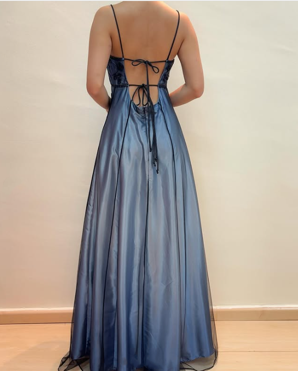 Blue Delicate Beaded Long Tulle Elegant Ball Gown Evening Dress Formal Birthday Party Dress Prom Dress gh3611