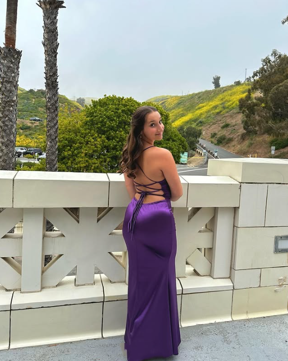 Purple/Blue Fashion Elegant Sweetheart Neck Strap Long Slim Satin Formal Prom Dress Evening Dress Party Dress Graduation Dress gh3468