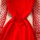 Elegant A Line Long Sleeve Dress See Through Dress  10912
