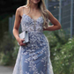 Stunning Dsuty Blue Tulle Long Formal Dress with Appliques gh2634