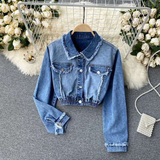 Chic denim long-sleeved cropped top  247