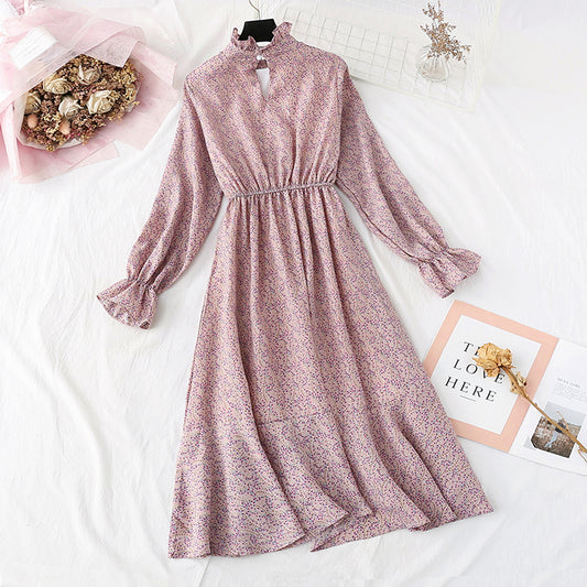 Französisches Retro-Interieur mit Boden, Plüsch und verdicktem Chiffonrock 2366