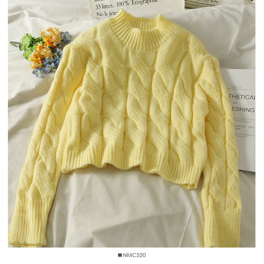 Damen-Leinenpullover ist schmal und halb groß 1963