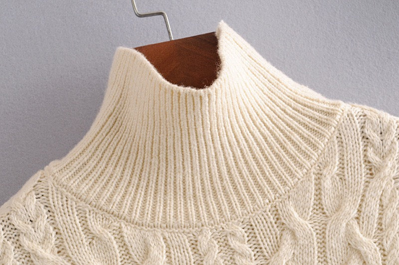 Women's turtleneck for autumn 2020 eight-strand knitwear  1370