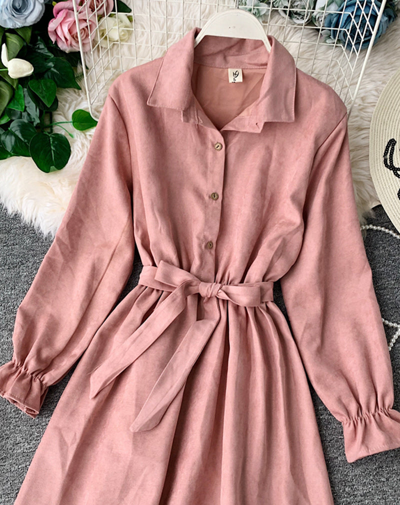 Cute A line long sleeve dress autumn clothing  1068