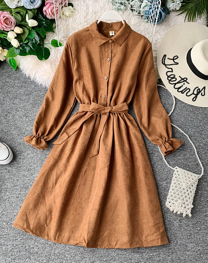 Cute A line long sleeve dress autumn clothing  1068