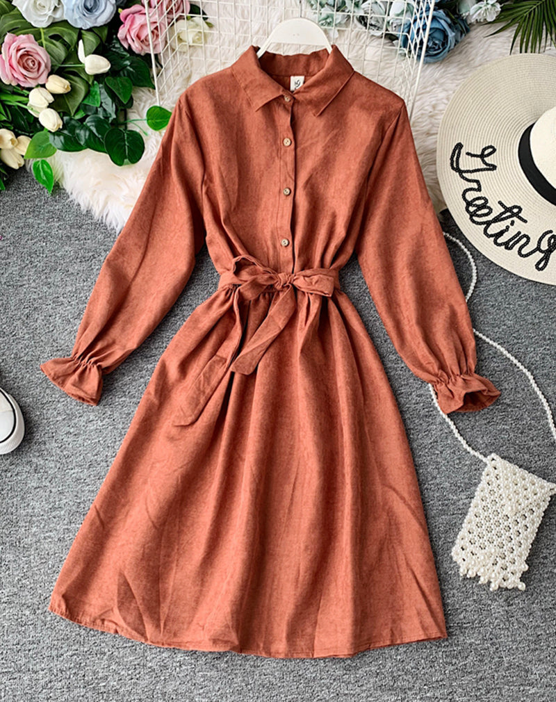 Cute A line long sleeve dress autumn clothing  1068