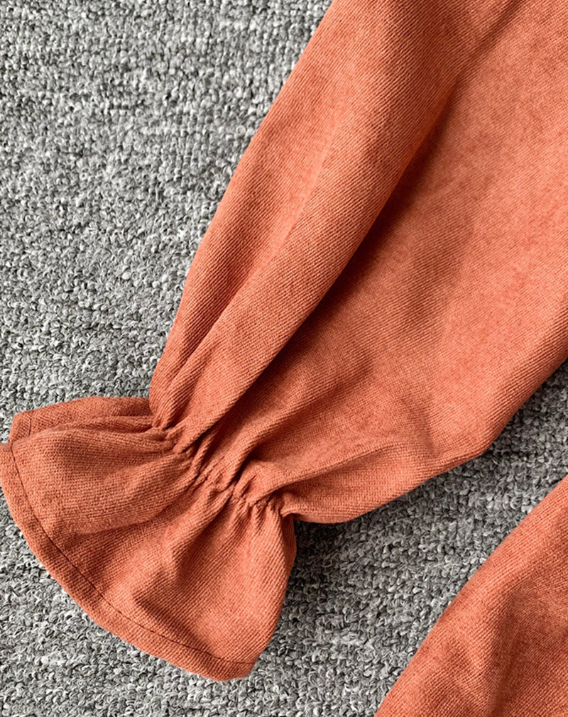 Cute A line long sleeve dress autumn clothing  1068