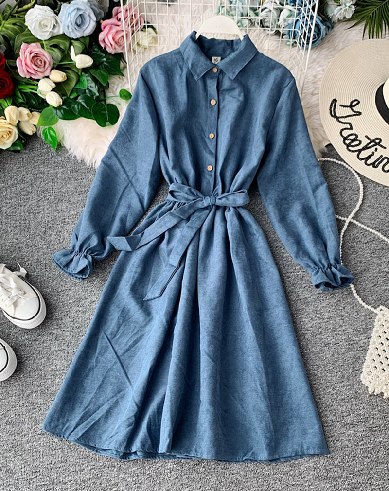 Cute A line long sleeve dress autumn clothing  1068
