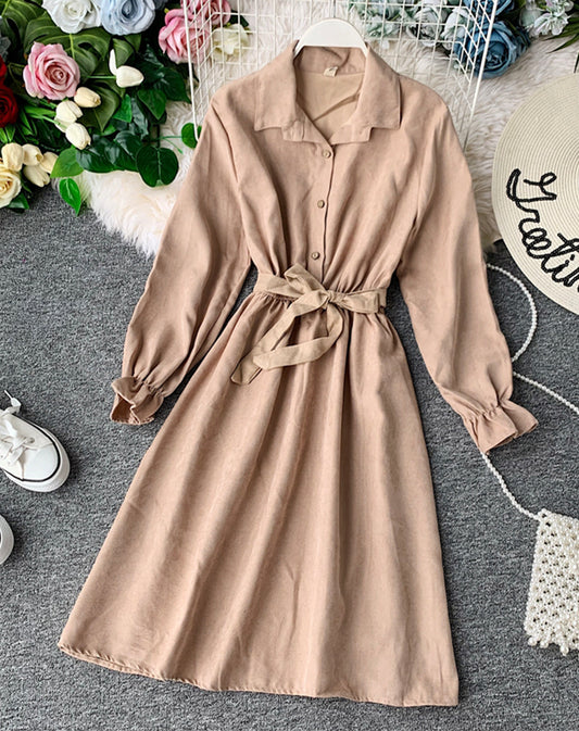 Cute A line long sleeve dress autumn clothing  1068