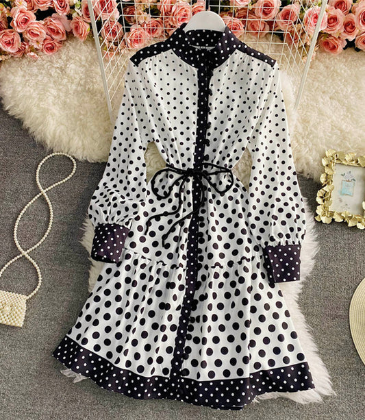 Stylish A line polka dot dress  843