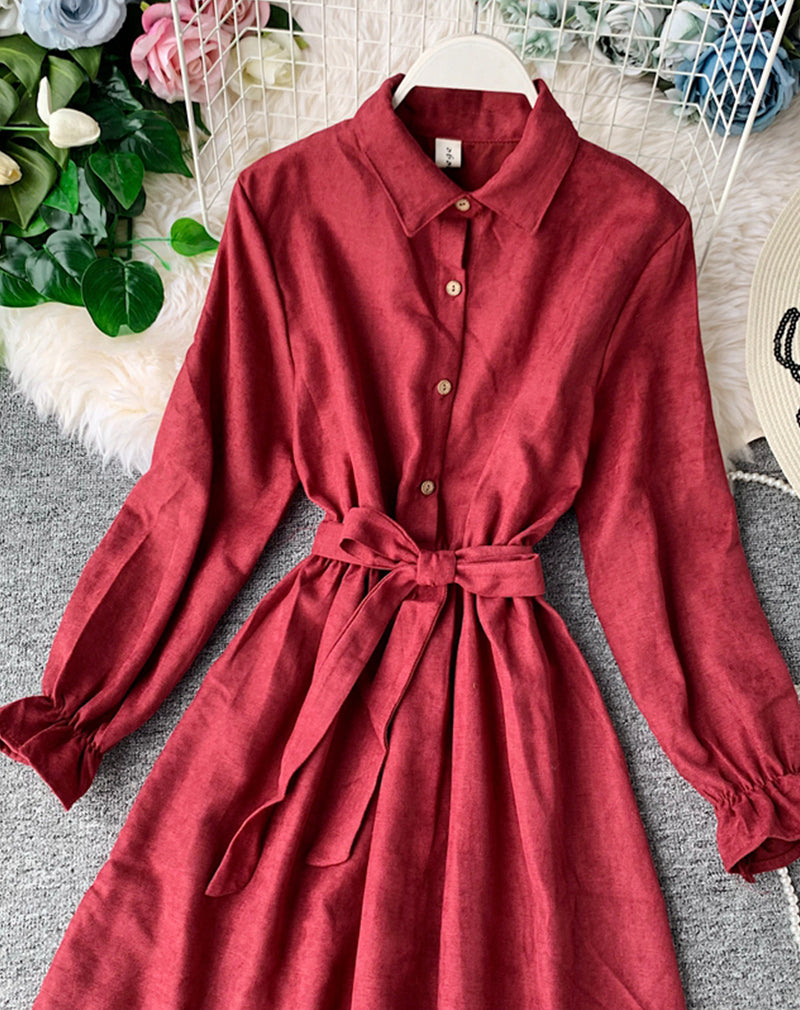Cute A line long sleeve dress autumn clothing  1068