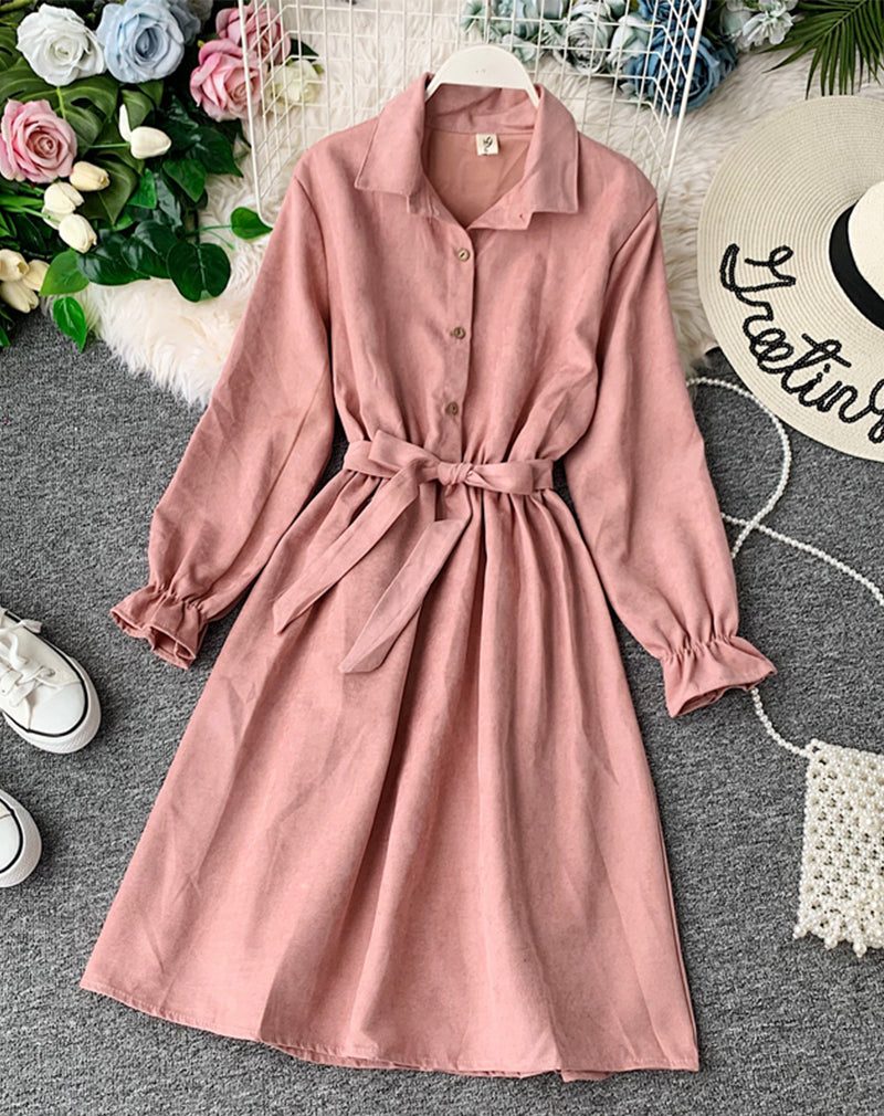 Cute A line long sleeve dress autumn clothing  1068