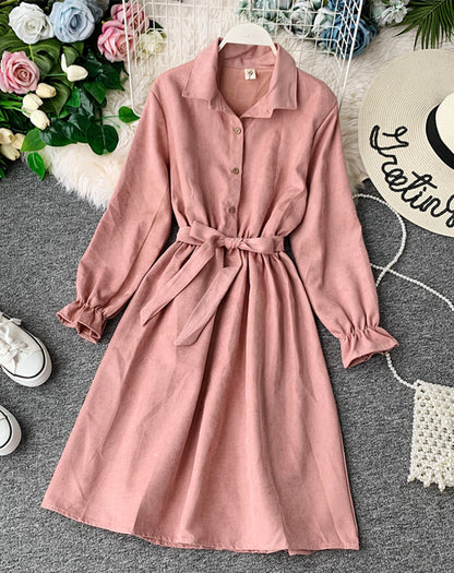 Cute A line long sleeve dress autumn clothing  1068