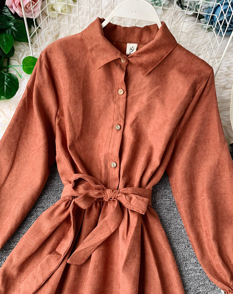 Cute A line long sleeve dress autumn clothing  1068
