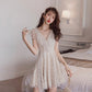 Süßes kurzes Kleid aus Spitze mit V-Ausschnitt, Modekleid 1081