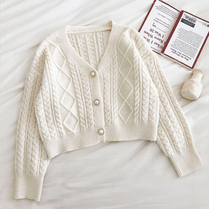 Long sleeved loose twist sweater cardigan  5840