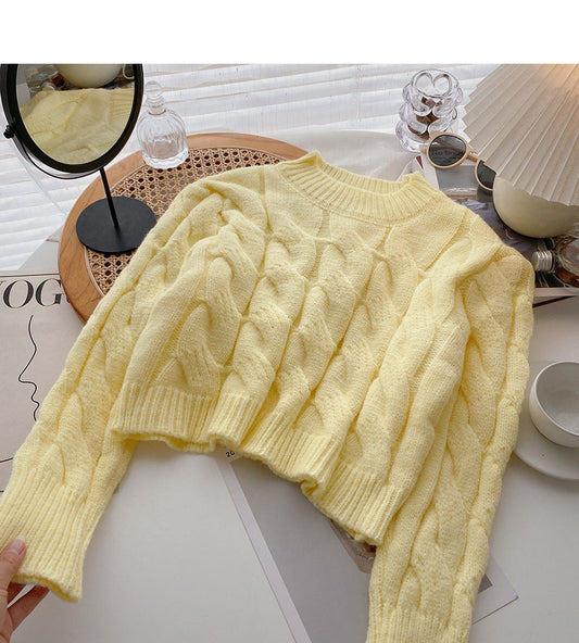 New Korean small subnet red jacket  5947