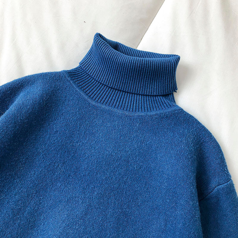 Korean warm pile high neck thin Pullover long sleeve top  5844