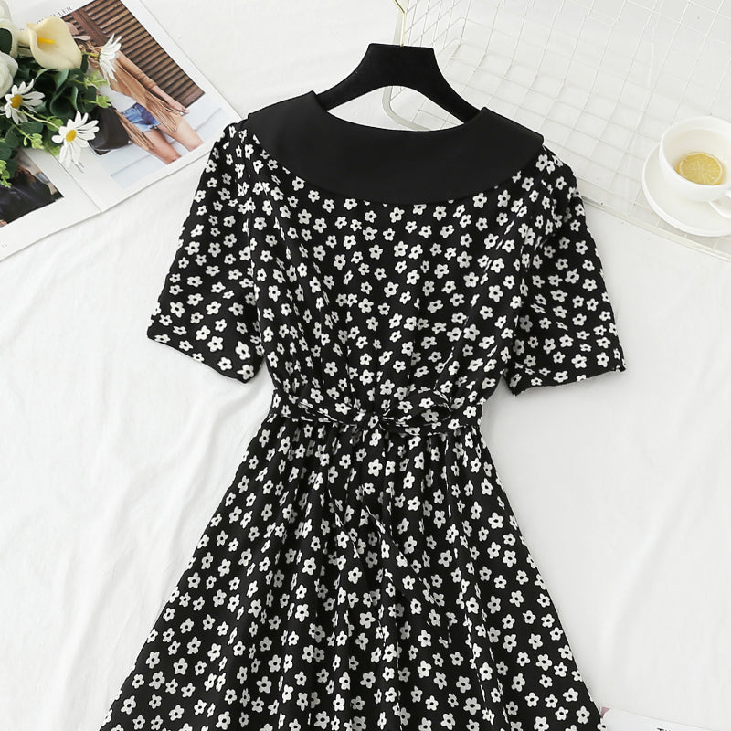 Temperamentrock aus Chiffon mit französischem Taillenverschluss 4276