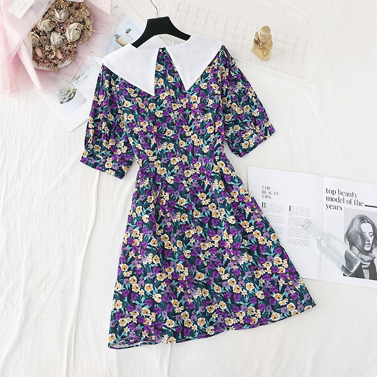 Leicht, reif und fremd ist das neue Röckchen 4584