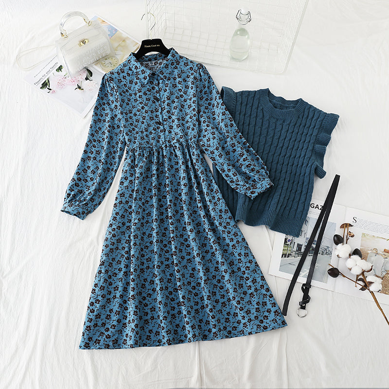 New suit knitted sweater vest skirt two piece suit foreign style  4744